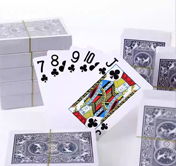 ��� ͸���˿���